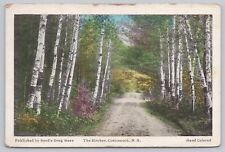 Contoocook New Hampshire, Birches, Trees, Vintage Postcard picture