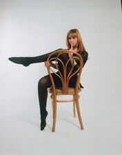 Susan George 1960's glamour pose crossing legs on chair vintage 8x10 inch photo picture