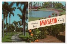Greetings From Anaheim California c1950's Orange Trees, Palm Trees, lake picture