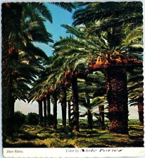 Unposted - Date Palms Garden - USA, North America picture