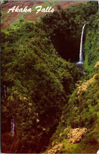AKAKA FALLS near HILO HAWAII Vintage Chrome Postcard 1974 Posted A65 picture