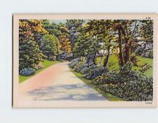 Postcard Road Grass Trees Nature Landscape Scenery picture