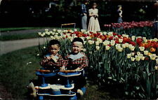 Michigan Holland tulip time children stroller ~ 1952 vintage postcard  sku805 picture