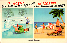 Vintage 1966 Up North Ice Florida Swimming Nice Funny Greeting FL Postcard Byitt picture