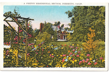 Pretty Residential Section-Piedmont, California CA-antique unposted postcard picture