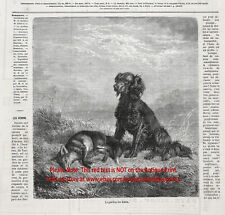 Dog Flat-Coated Retriever Hunting Retrieving Fox, 1870s Antique Engraving Print picture