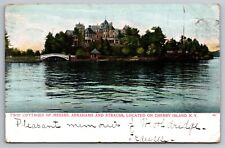 Twin Cottages Of Messrs. Cherry Island New York. 1906 Vintage Postcard picture