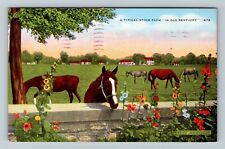 KY-Kentucky, A Typical Stock Farm, Old Kentucky c1955 Vintage Postcard picture