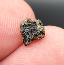 NWA 15200 (0.284g) Meteorite MARTIAN NAKHLITE Fresh Fusion Crust A+ IMCA picture