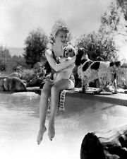 Lucille Ball with her dogs on pool diving board Palm Springs 8x10 inch photo picture