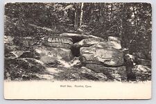 c1905~Last Known Wolf~Den~Israel Putnam~Pomfret Connecticut CT~Antique Postcard picture