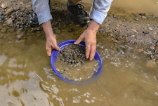 Arkansas River Gold Pay Dirt 8lb Guaranteed Added Gold Prospecting Panning #090s picture