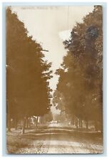 1914 Road View Lined Trees Ashcraft Boston New York NY RPPC Photo Postcard picture