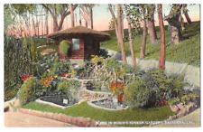 Pasadena California c1915 scene in Busch's Arroyo Sunken Gardens picture