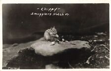 Smugglers Notch VT Vermont Chippy Chipmunk c.1930 RPPC B522 picture