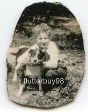 Z413 Vtg Photo BOY WITH HIS BEAGLE PUPPY DOG c Early 1900's picture