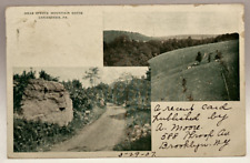 1907 Near Spruce Mountain House, Canadensis PA Pennsylvania Vintage Postcard picture