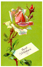 Best Wishes Roses Postcard  Postmarked Edmeston NY 1910 Embossed picture