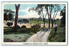 1925 Greetings From Farming Field Road Trees Hart Michigan MI Vintage Postcard picture