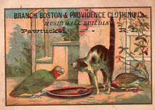 Branch Boston & Providence Clothing Co. Pawtucket, RI- Cat, Parrot & Duck  picture