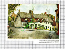 Newport Essex Thatched Cottages - 1965 Cutting picture