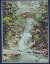 Cascadilla Gorge,waterfalls,rivers,creek,plants,rocks,Ithaca,New York,NY,c1901 picture