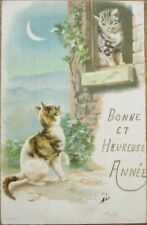 Cat Romeo and Juliet 1903 Postcard, Color Litho, Moon, New Year picture