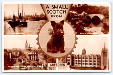 RPPC Postcard 1948 5 Views Puppy A Small Scotch From Aberdeen Scotland A21 picture