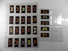 Abdulla Cigarette Cards British Butterflies 1935 Complete set 25 in Pages picture