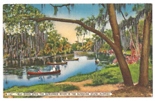 Florida, Sunshine State c1940's boating on the Suwannee River, canoe, rowboat picture