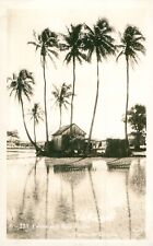 1930s RPPC Kodak of Hawaii, Palms & Rice Fields picture
