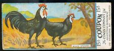 1925 BLACK SPANISH CHICKENS Card COWAN’S Chocolates V12 Reverse W. COUPON Cowan picture