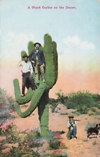 Postcard Giant Cactus The Desert Saguaro Men Vintage Plants Flowers Dog picture