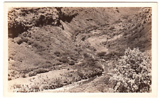 c1940s Hanapepe Valley ~Vintage Real Photo Kauai Hawaii HI Postcard picture