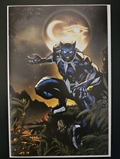 Ultimate Black Panther #1 1:25 3rd Printing Virgin Caselli Variant picture
