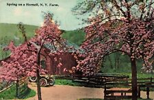 Spring on a Hornell, New York NY Farm - 1916 Vintage Postcard picture