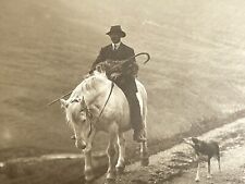 (Ke) RPPC Postcard Photograph Lakeland Shepherd Abrahams Series Dog Horse Sheep picture