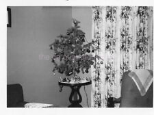 CHRISTMAS TREE Vintage FOUND PHOTO Black And White Snapshot ORIGINAL 43 LA 80 S picture