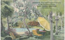 Oak Hill Log Cabin Groves Pool Tropical Garden Of Eden Roadside Linen 1940 FL  picture