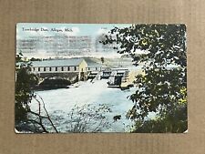 Postcard Allegan, Michigan Trowbridge Dam Vintage 1909 MI PC picture