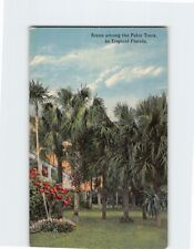 Postcard Scene among the Palm Trees in Tropical Florida USA North America picture