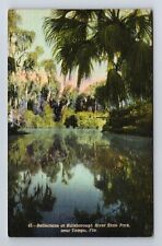 Tampa FL-Florida, Hillsborough River State Park, Antique Vintage Postcard picture