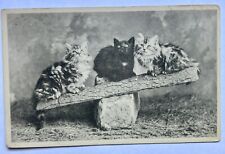 Kittens On Log 1908 Vintage Cat Postcard picture
