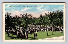 Miami FL-Florida, Royal Palm Park, Antique Vintage Souvenir Postcard picture