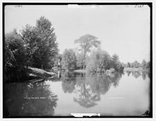Palmer Park the lake c1900 OLD PHOTO picture