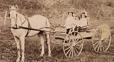 RPPC Horse Drawn Livery Wagon SPRINGFIELD MA Vintage Real Photo Postcard picture
