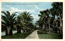 Avenue of Palms, Dixie Highway, Daytona, Florida, Michigan, Miami, 20 Postcard picture