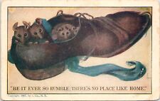 C.1907 BE IT EVER SO HUMBER NO PLACE LIKE HOME Mice In Shoe Humor Postcard A531 picture