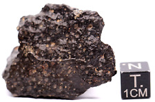 Meteorite NWA 16449 CVOX3 CARBONACEOUS, CAI RICH METEORITE, 20 GRAMS picture