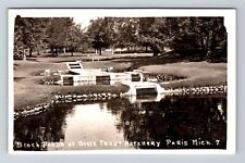 Paris MI-Michigan RPPC State Fish Hatchery Stock Ponds Real Photo Old Postcard picture